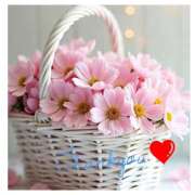 ヒメ日記 2025/04/09 21:42 投稿 深田 熟女待機所 厚木店