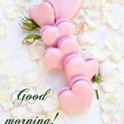 ヒメ日記 2025/04/11 08:38 投稿 深田 熟女待機所 厚木店