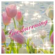 ヒメ日記 2025/04/13 09:07 投稿 深田 熟女待機所 厚木店