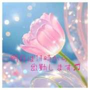 ヒメ日記 2025/04/14 23:30 投稿 深田 熟女待機所 厚木店