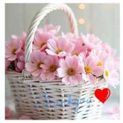 ヒメ日記 2025/04/25 09:30 投稿 深田 熟女待機所 厚木店