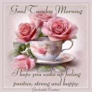 ヒメ日記 2025/05/03 08:00 投稿 深田 熟女待機所 厚木店