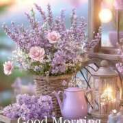 ヒメ日記 2025/05/20 08:29 投稿 深田 熟女待機所 厚木店