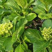 ヒメ日記 2025/05/22 21:30 投稿 深田 熟女待機所 厚木店