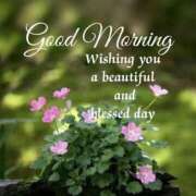 ヒメ日記 2025/05/24 07:27 投稿 深田 熟女待機所 厚木店