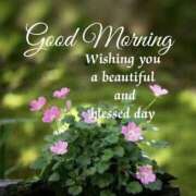 ヒメ日記 2025/05/25 08:29 投稿 深田 熟女待機所 厚木店