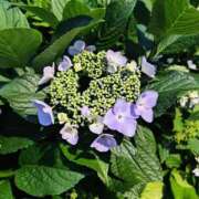 ヒメ日記 2025/05/27 22:57 投稿 深田 熟女待機所 厚木店