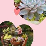 ヒメ日記 2025/06/06 11:40 投稿 深田 熟女待機所 厚木店