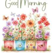 ヒメ日記 2025/06/15 07:30 投稿 深田 熟女待機所 厚木店