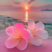 ヒメ日記 2025/06/19 20:53 投稿 深田 熟女待機所 厚木店