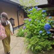 ヒメ日記 2025/06/26 13:30 投稿 深田 熟女待機所 厚木店