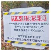 ヒメ日記 2025/07/11 09:14 投稿 深田 熟女待機所 厚木店