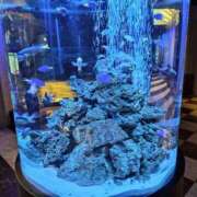 ヒメ日記 2025/07/25 22:40 投稿 深田 熟女待機所 厚木店