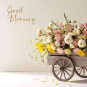 ヒメ日記 2025/07/26 07:33 投稿 深田 熟女待機所 厚木店