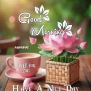 ヒメ日記 2025/07/29 07:20 投稿 深田 熟女待機所 厚木店