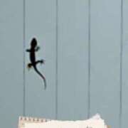 ヒメ日記 2025/08/24 22:49 投稿 深田 熟女待機所 厚木店