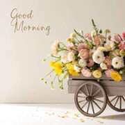 ヒメ日記 2025/09/11 07:45 投稿 深田 熟女待機所 厚木店