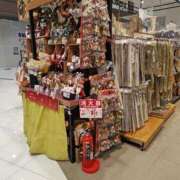 ヒメ日記 2025/11/09 11:26 投稿 深田 熟女待機所 厚木店