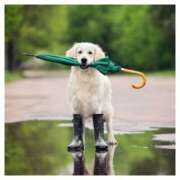 ヒメ日記 2025/11/10 14:45 投稿 深田 熟女待機所 厚木店