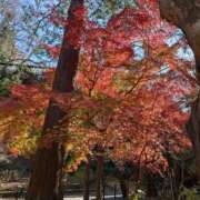 ヒメ日記 2025/12/17 09:26 投稿 深田 熟女待機所 厚木店