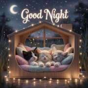 ヒメ日記 2026/03/05 14:06 投稿 深田 熟女待機所 厚木店