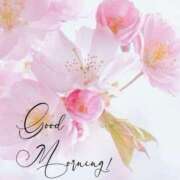 ヒメ日記 2026/03/13 09:46 投稿 深田 熟女待機所 厚木店