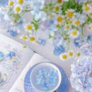 ヒメ日記 2026/03/15 10:06 投稿 深田 熟女待機所 厚木店