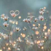 ヒメ日記 2026/03/18 09:46 投稿 深田 熟女待機所 厚木店