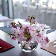 ヒメ日記 2026/03/20 09:06 投稿 深田 熟女待機所 厚木店