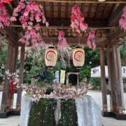 ヒメ日記 2026/04/07 11:45 投稿 深田 熟女待機所 厚木店