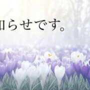 ヒメ日記 2025/02/24 00:22 投稿 平野志乃 札幌ソフィア