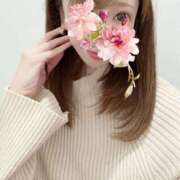 ヒメ日記 2025/04/04 11:19 投稿 平野志乃 札幌ソフィア