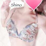 ヒメ日記 2025/04/08 12:49 投稿 平野志乃 札幌ソフィア