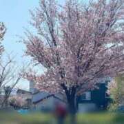 ヒメ日記 2025/05/01 13:48 投稿 平野志乃 札幌ソフィア