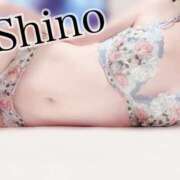 ヒメ日記 2025/06/16 11:03 投稿 平野志乃 札幌ソフィア