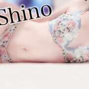 ヒメ日記 2025/07/02 14:27 投稿 平野志乃 札幌ソフィア