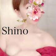 ヒメ日記 2025/07/07 12:30 投稿 平野志乃 札幌ソフィア