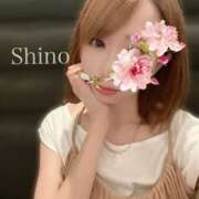 ヒメ日記 2025/07/08 14:19 投稿 平野志乃 札幌ソフィア