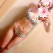 ヒメ日記 2025/07/09 13:51 投稿 平野志乃 札幌ソフィア