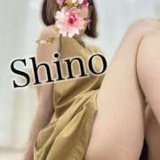 ヒメ日記 2025/08/04 12:21 投稿 平野志乃 札幌ソフィア