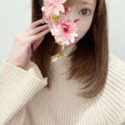 ヒメ日記 2025/11/08 11:18 投稿 平野志乃 札幌ソフィア