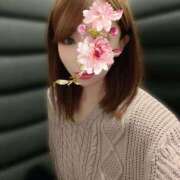 ヒメ日記 2025/11/19 12:49 投稿 平野志乃 札幌ソフィア