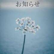 ヒメ日記 2026/01/25 09:03 投稿 平野志乃 札幌ソフィア