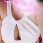 ヒメ日記 2026/03/14 12:02 投稿 ゆい 丸妻 新横浜店