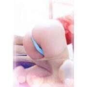 ヒメ日記 2024/12/20 16:44 投稿 とわ タレント倶楽部Around40