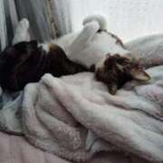 ヒメ日記 2025/01/05 03:26 投稿 とわ タレント倶楽部Around40