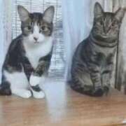 ヒメ日記 2025/02/05 14:32 投稿 とわ タレント倶楽部Around40