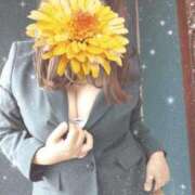 ヒメ日記 2025/03/29 16:20 投稿 とわ タレント倶楽部Around40