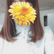 ヒメ日記 2025/04/04 21:34 投稿 とわ タレント倶楽部Around40