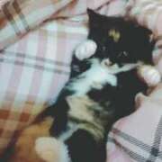 ヒメ日記 2025/04/05 08:56 投稿 とわ タレント倶楽部Around40